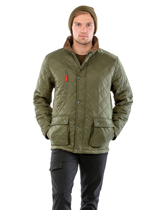 Cheltenham Gold Jacket