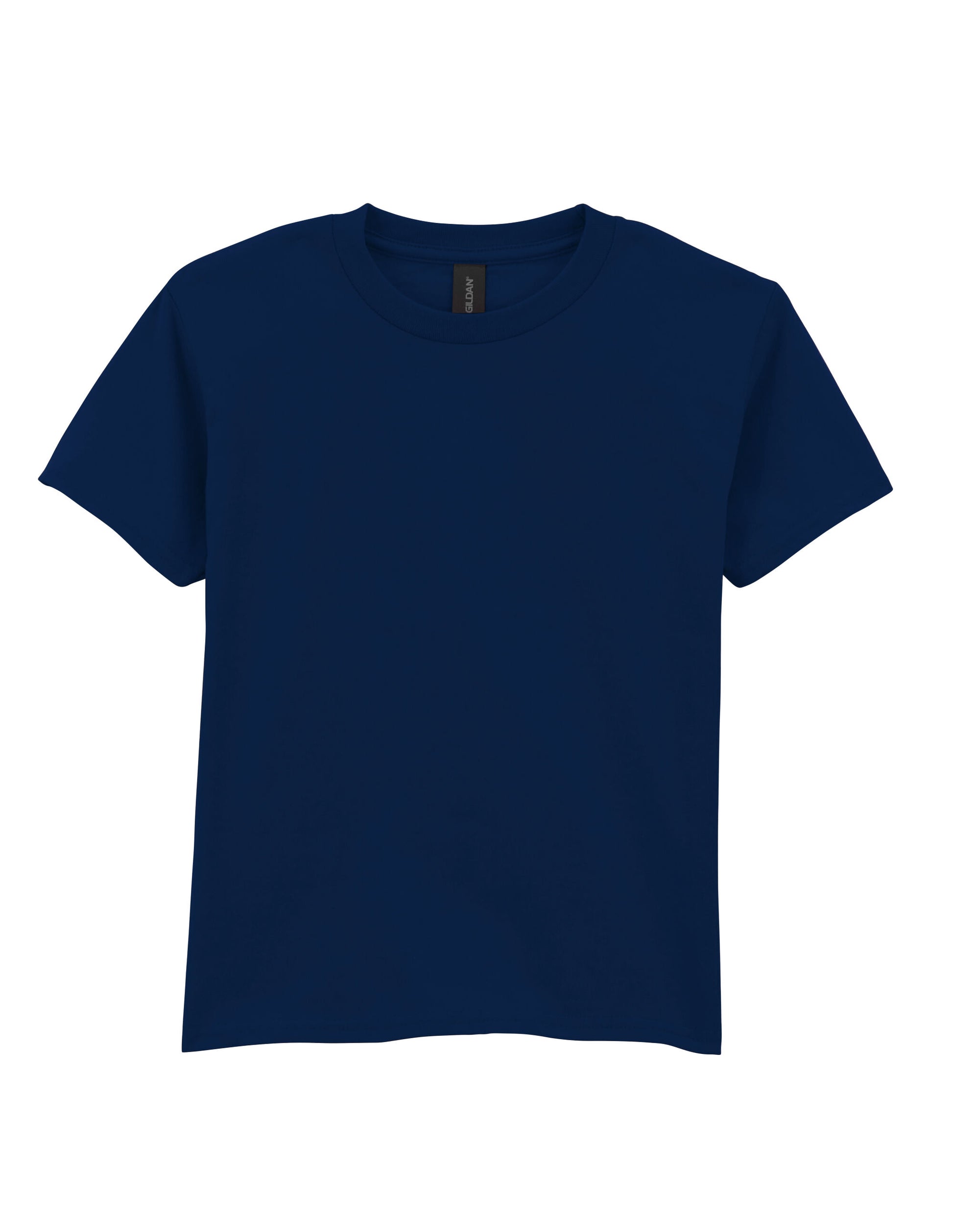 Softstyle Midweight Youth T-Shirt