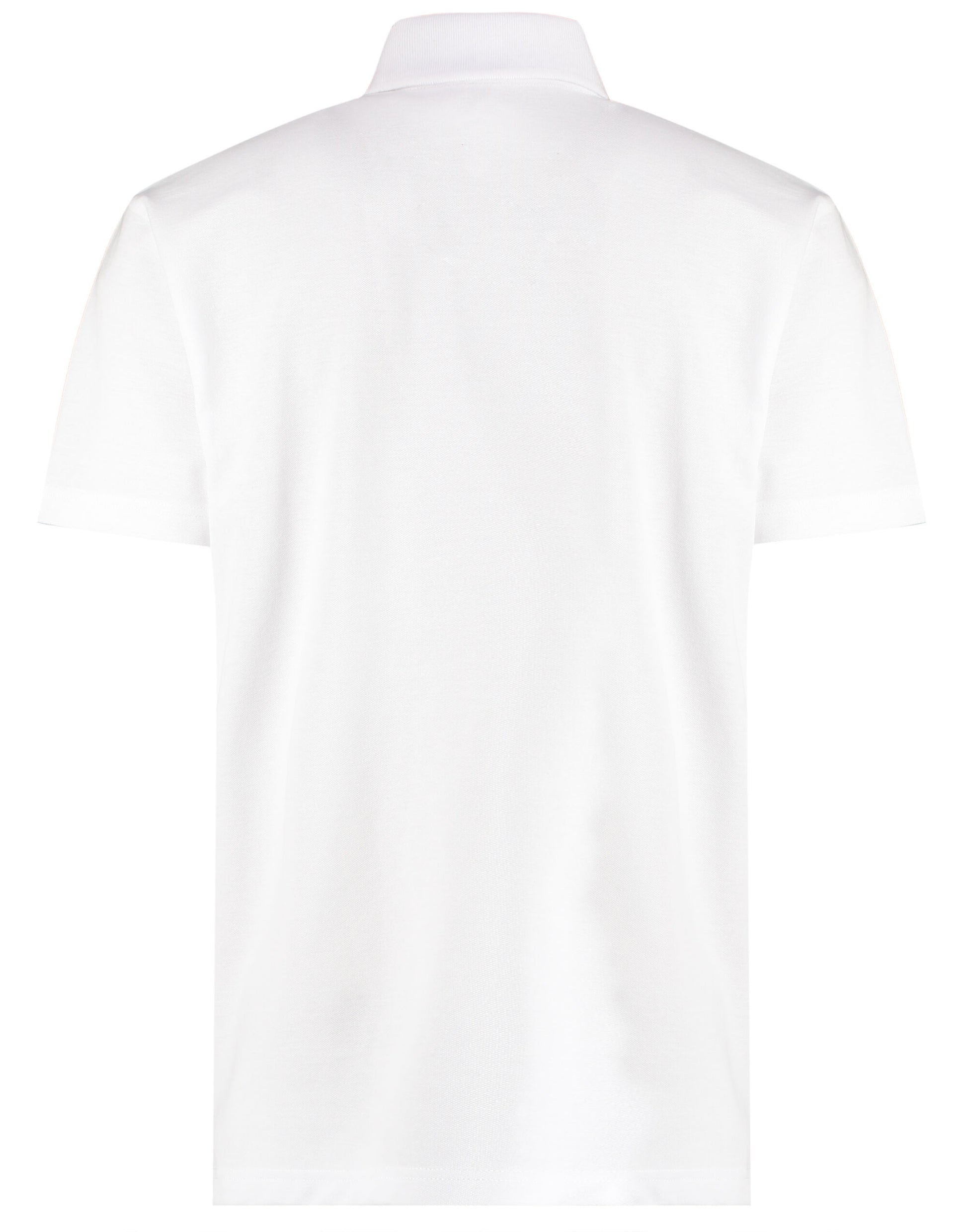 Regular Fit Workforce Polo