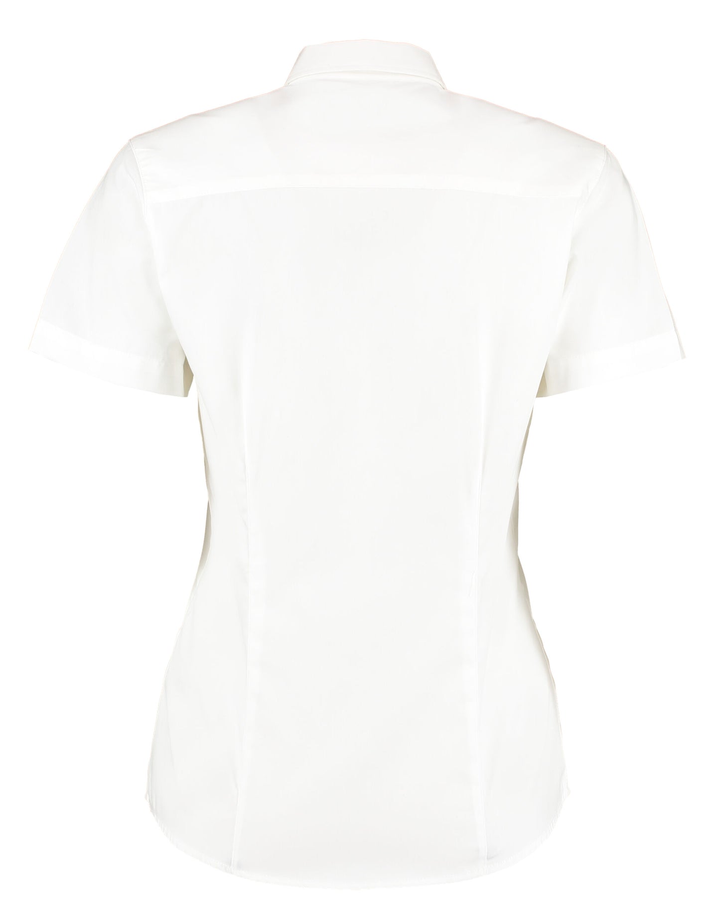 Tailored S/Sleeve Premium Oxford Shirt